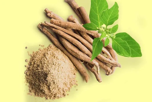 6 Health Benefits of Ashwagandha proven and backed by science.