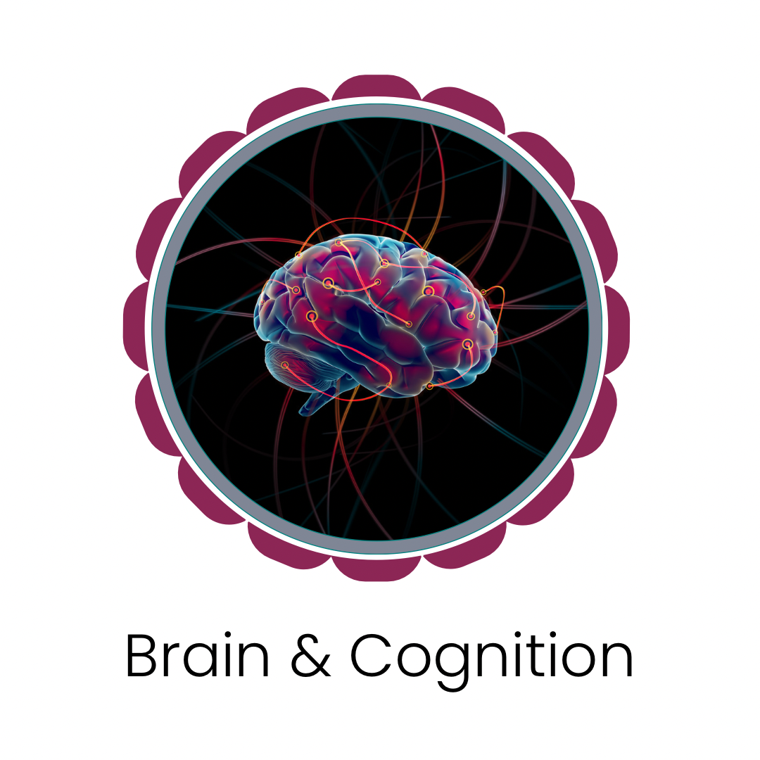 Brain, Cognitive & Nervous System