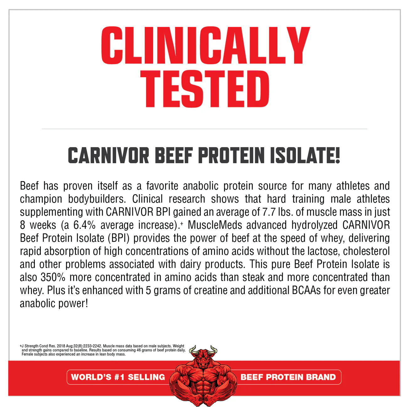 BEEF PROTEIN ISOLATE CARNIVOR  (CHOCOLATE) -  1.9kg | 56 SERVINGS