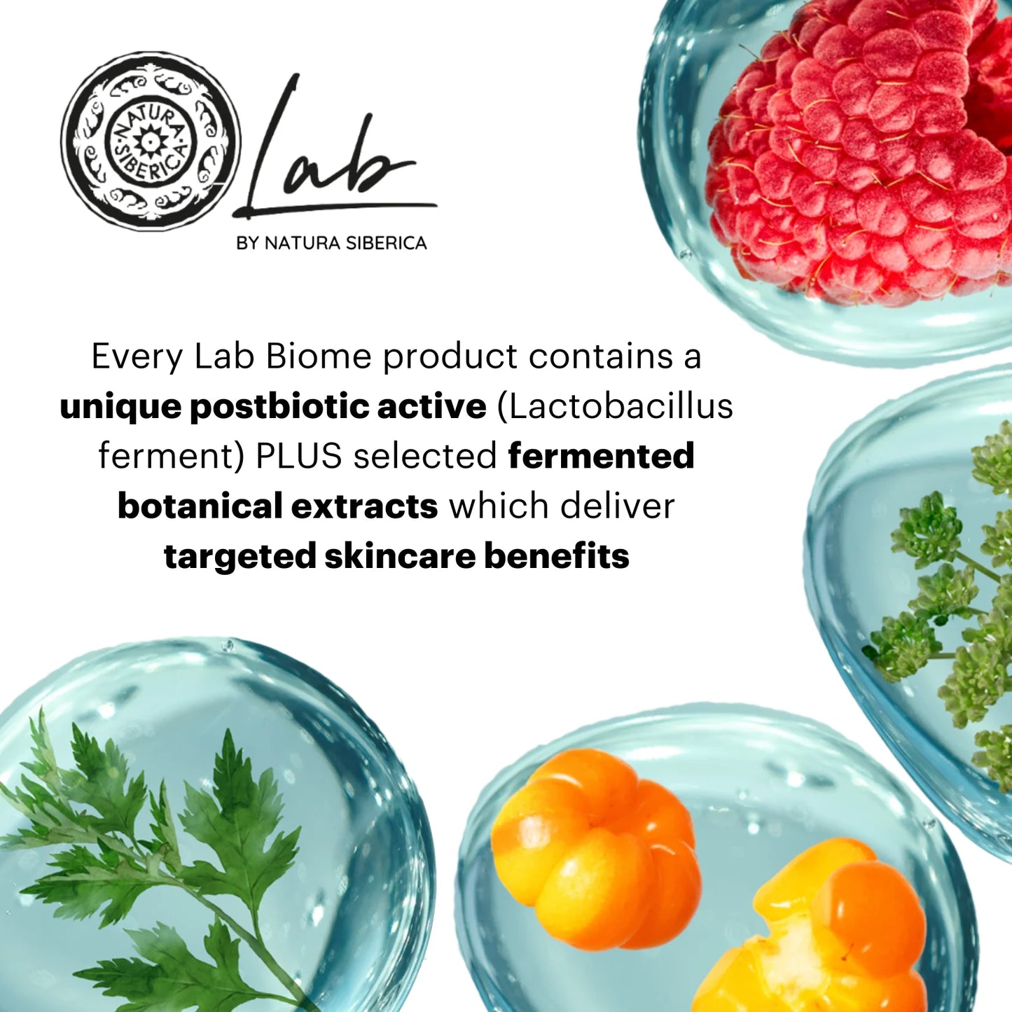 LAB BIOME ® - كريم العين المضاد للانتفاخات والهالات السوداء بالريتينول النباتي - 30 مل